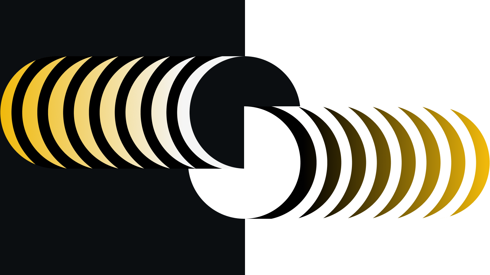 초보자를 위한 이중 지불 설명