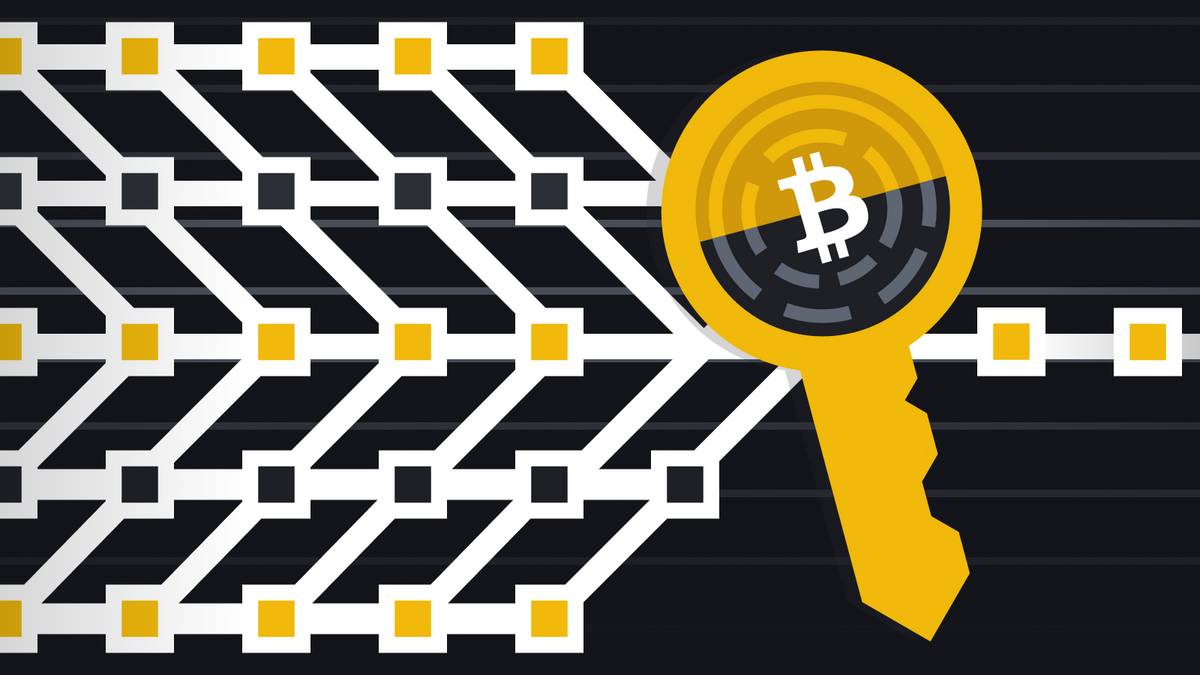 비트코인 타원곡선 (88) 사진